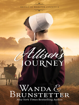 cover image of Allison's Journey